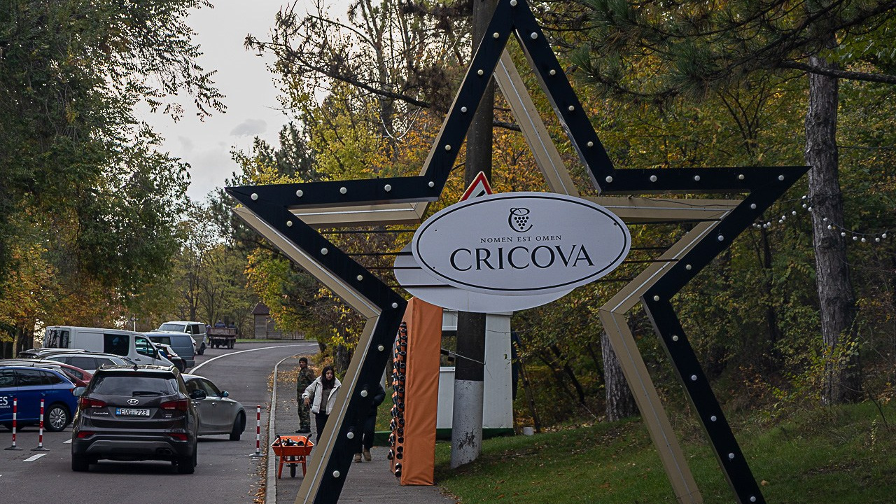 Corporate. Gabriel Nistor Art-Studios - Fotograf / Videograf Iasi