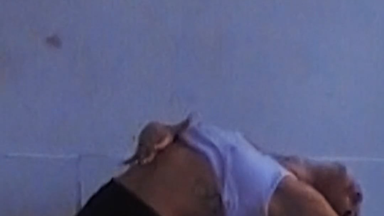 Videos. Julia Erina photographer Dubai