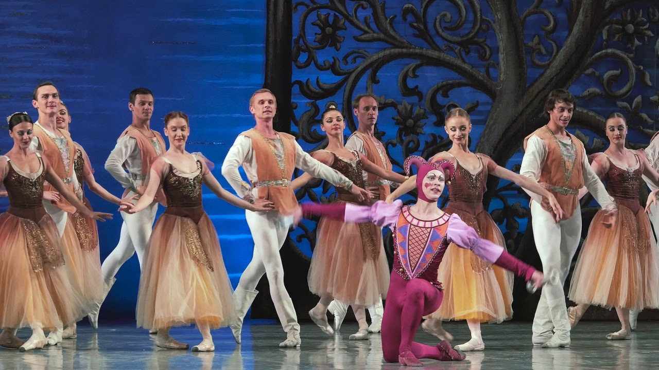 VIDEO. Fotograf in Köln, Bonn, Düsseldorf, Krefeld