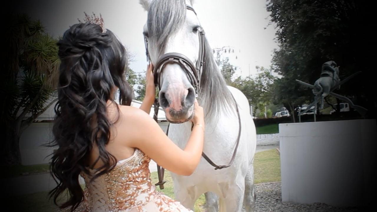 Video. Fotógrafo de Bodas y Quinceañeras