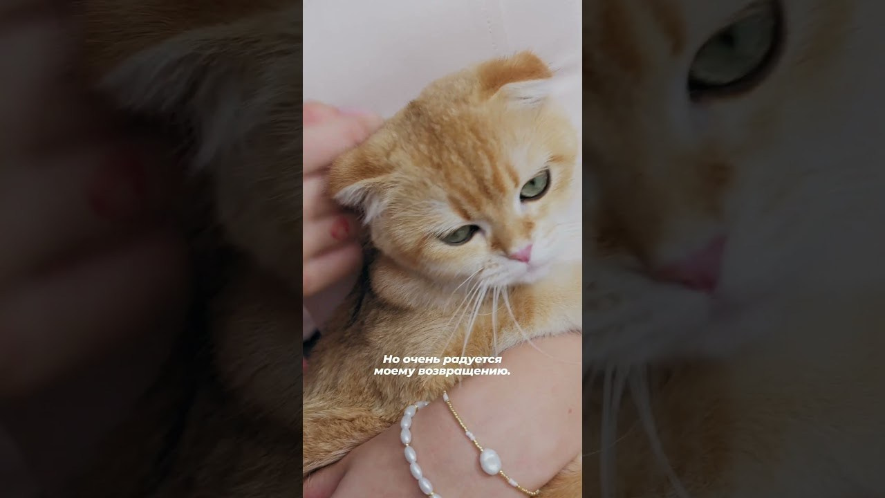 Vivienne Sabo x @kristi.krime. Stylist