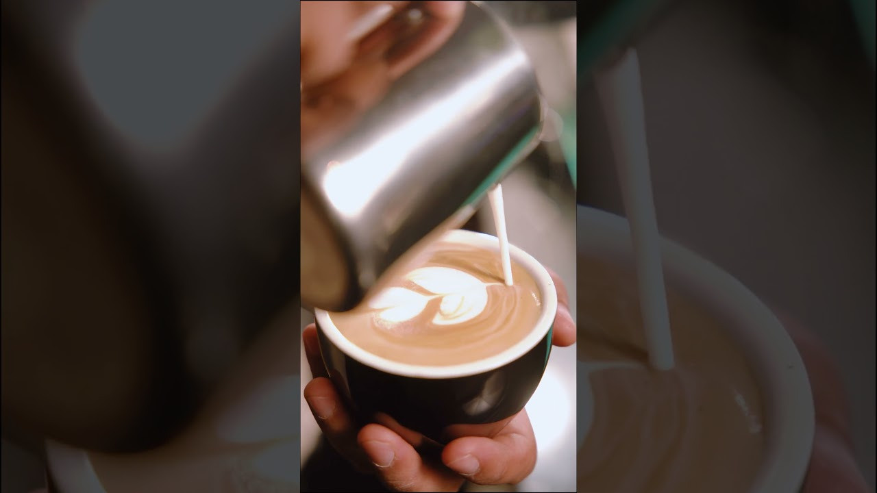 Video. Photographer and videographer in Dubai Dmitry Gromov