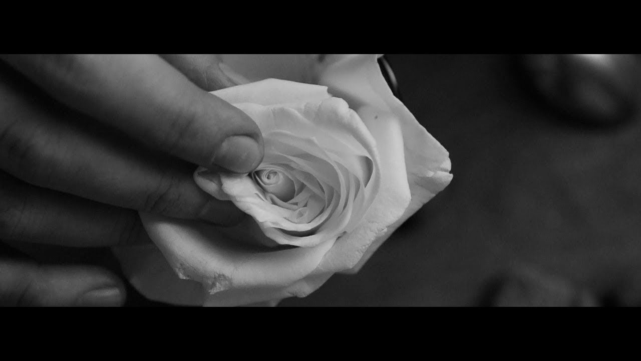 VIDEO. Photographer and Videographer in USA (worldwide) — Tatiana Ivanova