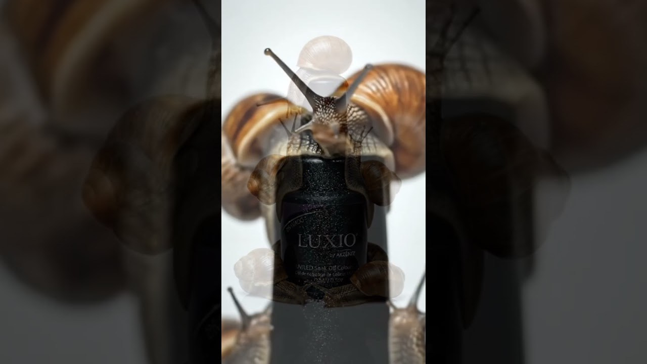 Ai projects. Content Creator, Videographer & Reels Editor