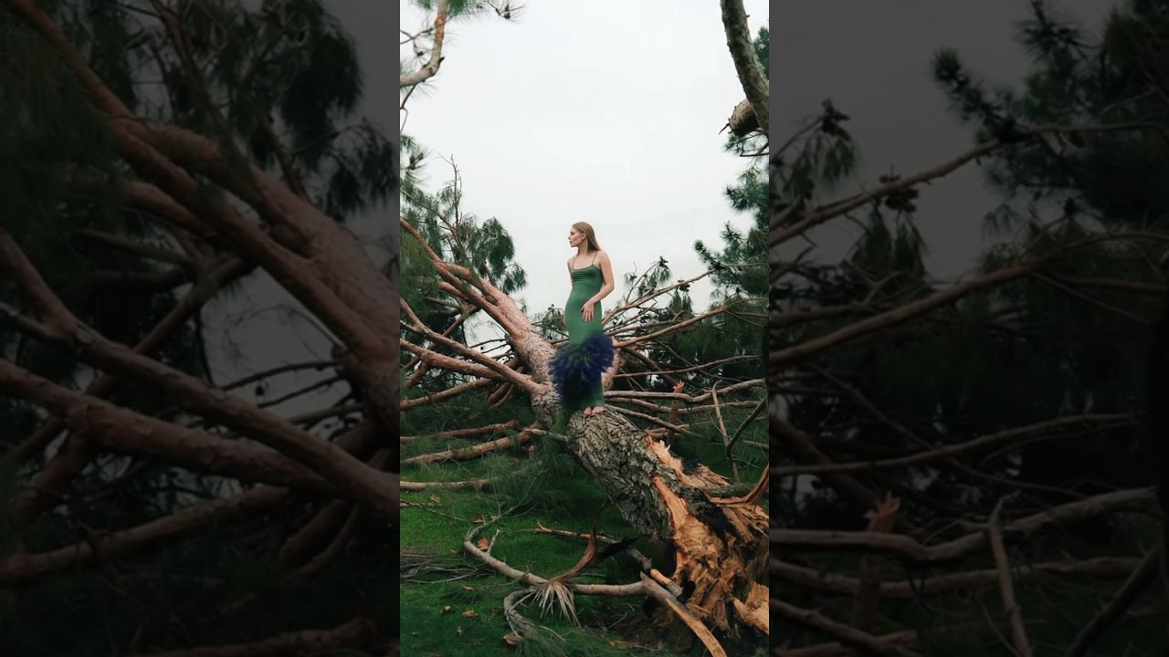 Ai projects. Content Creator, Videographer & Reels Editor