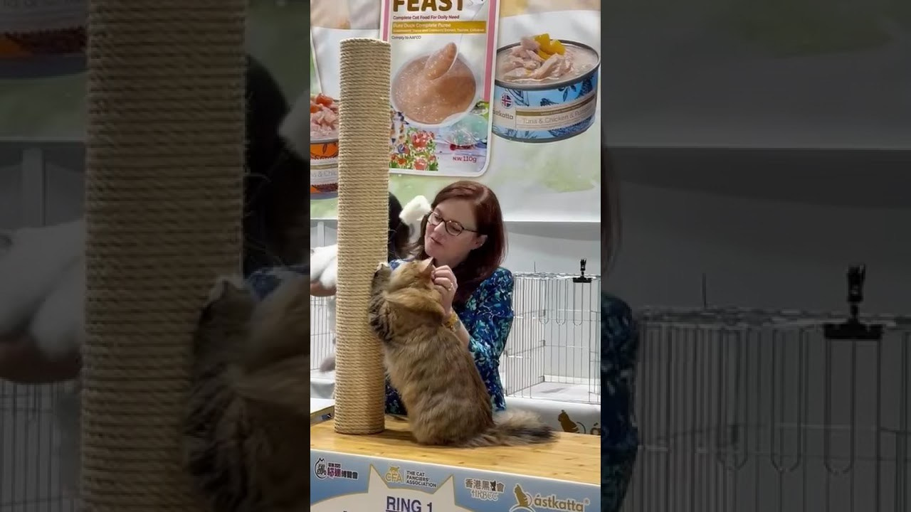 LEMON GREEN SIBERIANS BRIGITTE