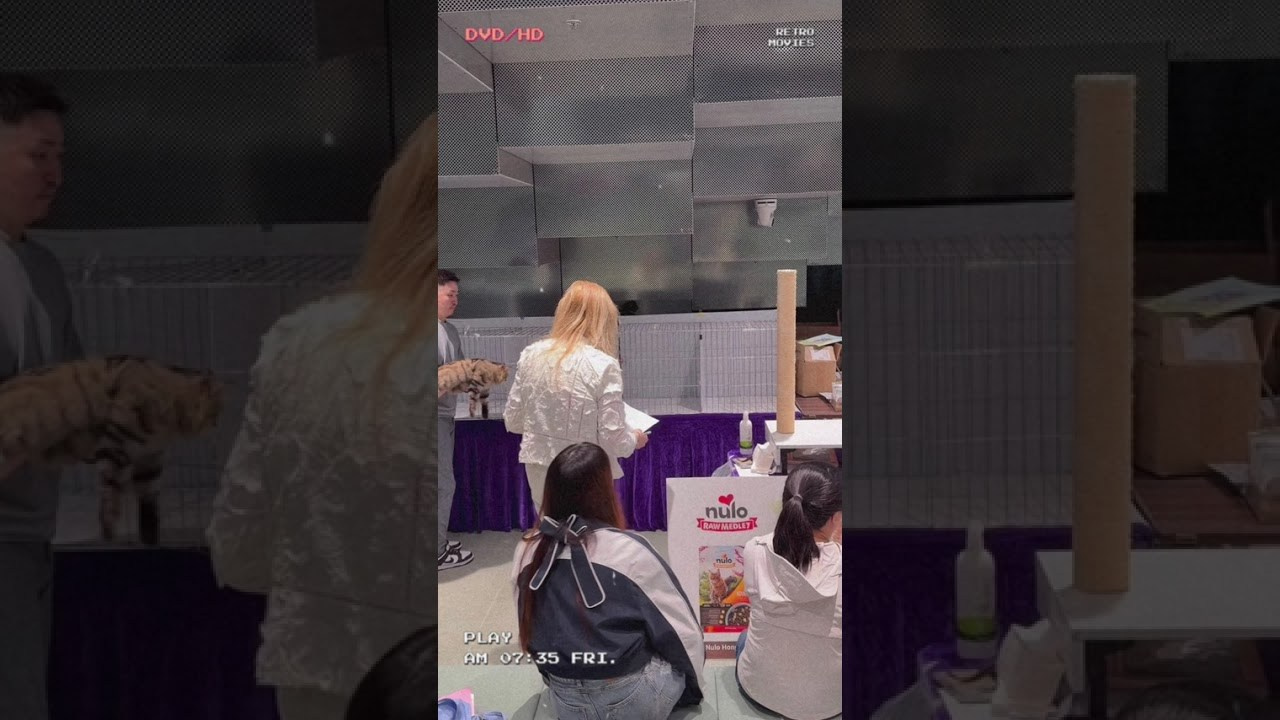 CFA Training Program Handling Training 22 March 2026