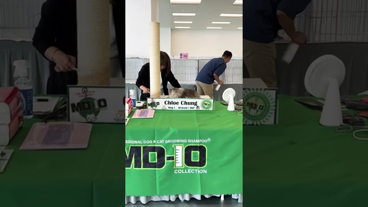 LEMON GREEN SIBERIANS LILA