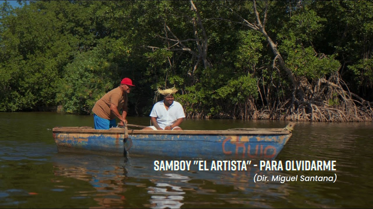 Video Musical - Sanboy. VisualAvalon