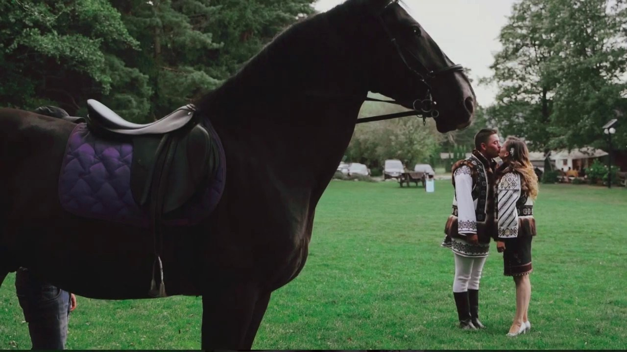 Video. Soldan Studio