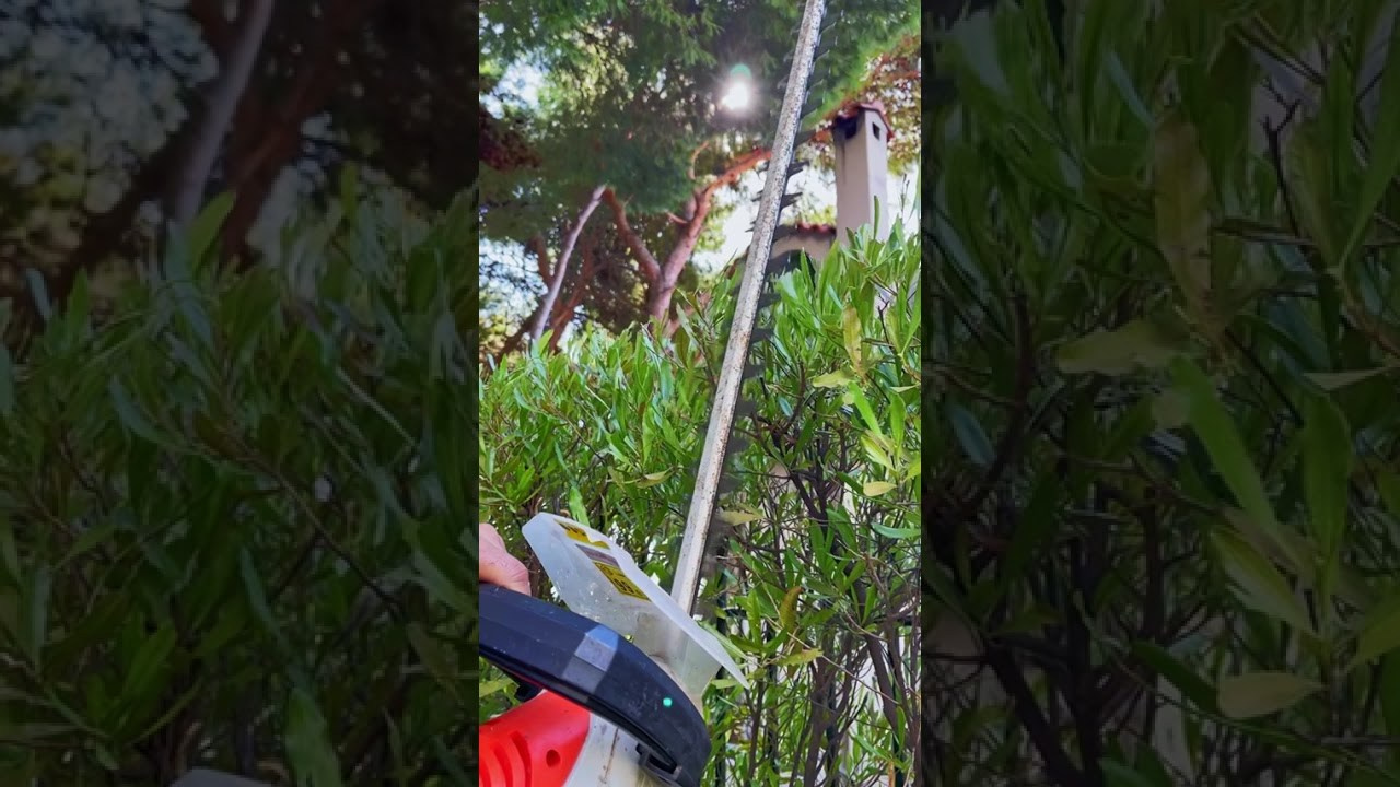 Videos Κήπων. Geoponitikon-Όταν η Επιστήμη συναντά την Τέχνη στο Φυσικό Τοπίο!