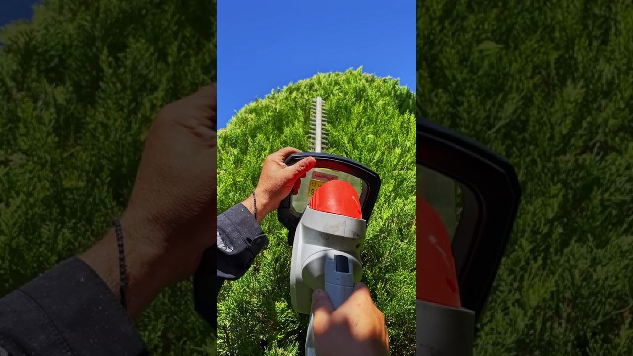 Short Videos Κήπων. Geoponitikon-Όταν η Επιστήμη συναντά την Τέχνη στο Φυσικό Τοπίο!