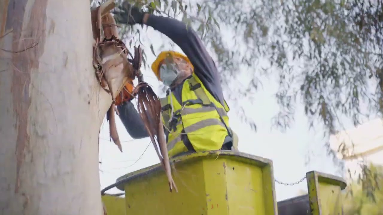 Videos Κήπων. Geoponitikon-Όταν η Επιστήμη συναντά την Τέχνη στο Φυσικό Τοπίο!