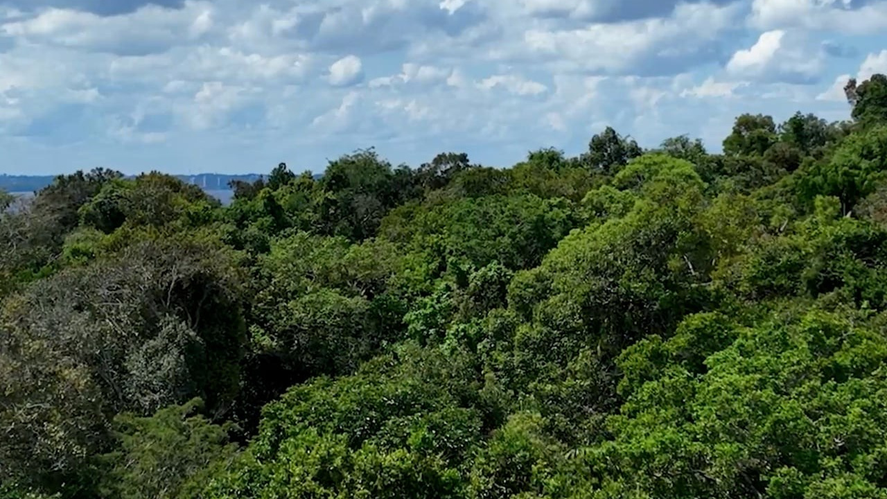 Vídeos. Manno Estúdio — Fotografia e vídeo em Belém