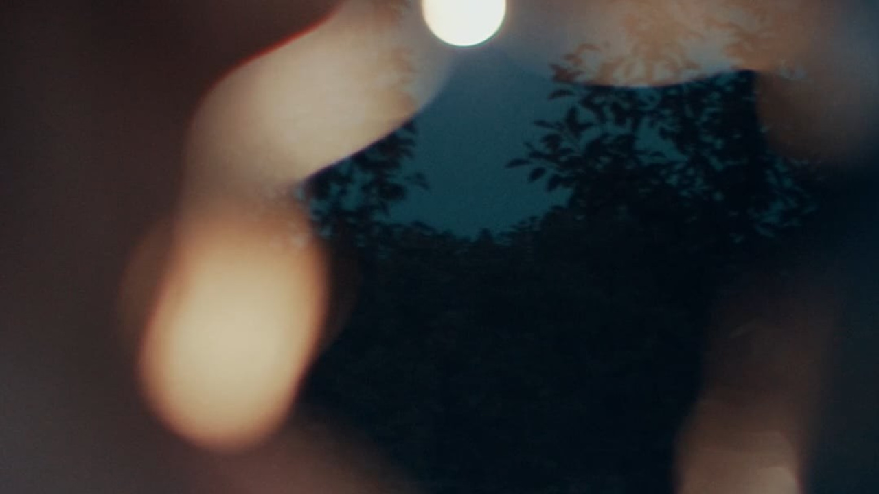 Eduard&Anna. FusaWedd