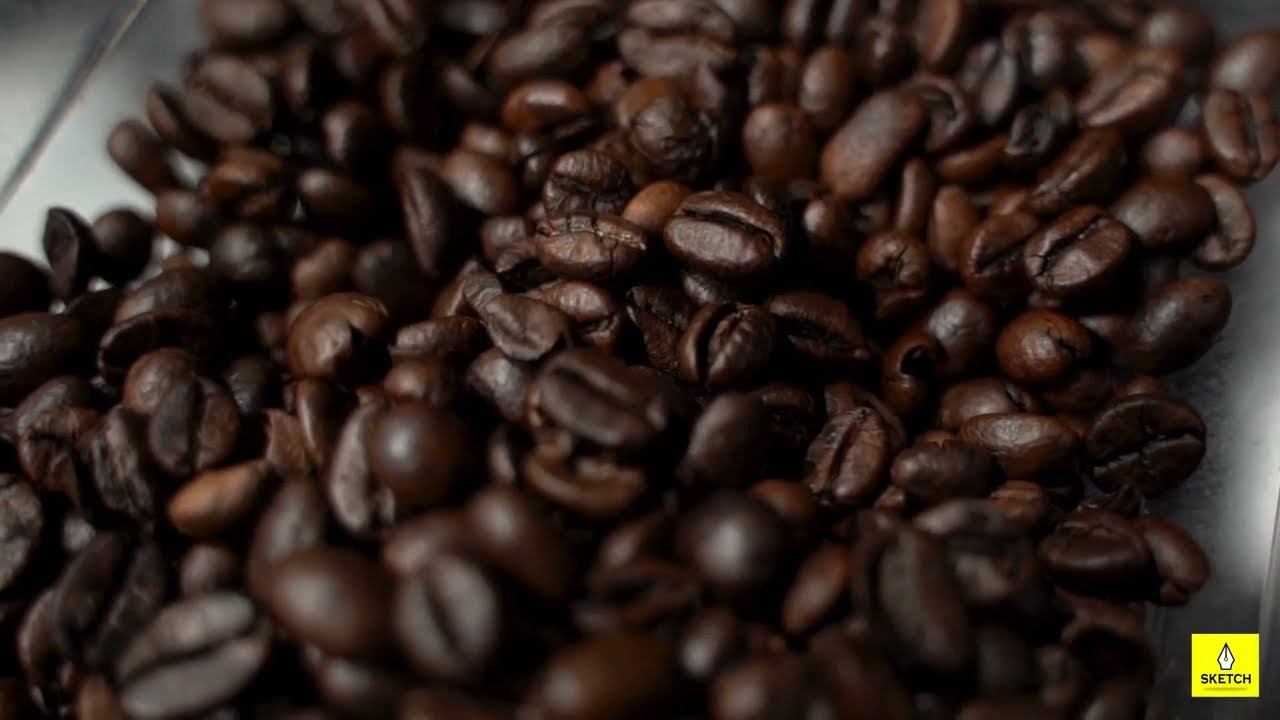 Commercial Videos. Photo & Videos