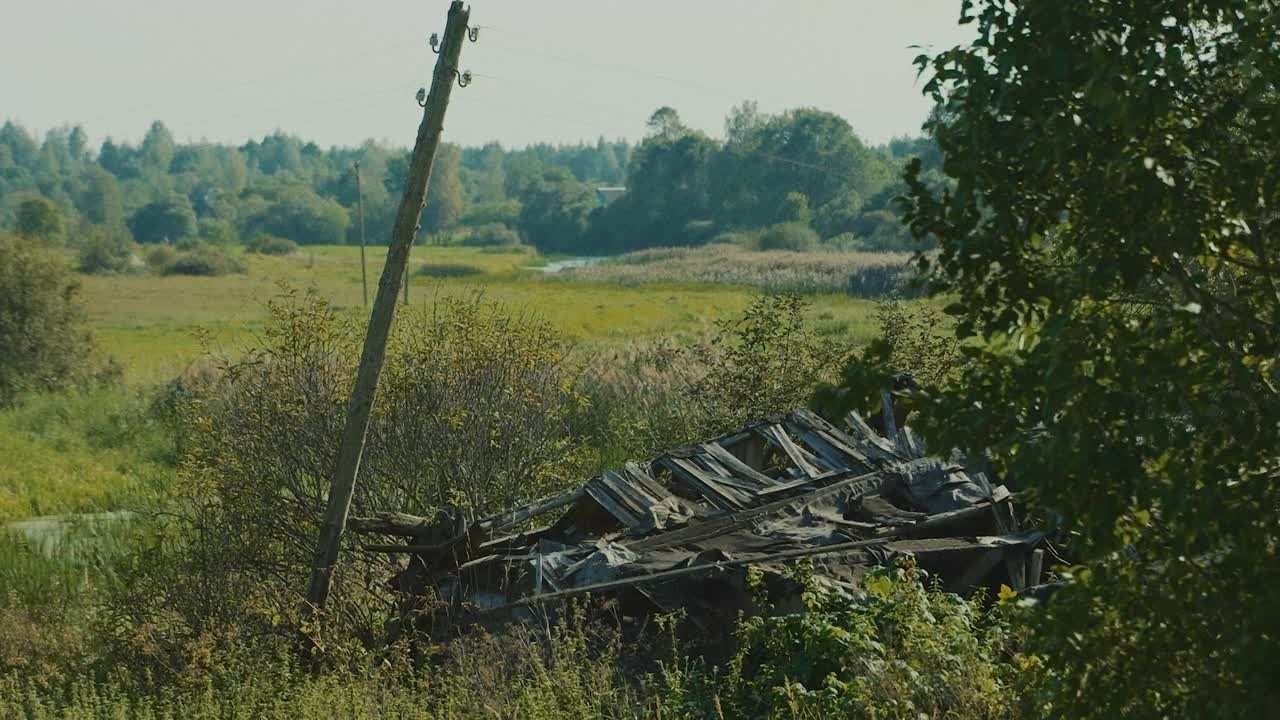 Киноработы оператора, режиссёра, монтажера и выдумщика Ивана Черных. Стрит-фотография, полная абсурда, идиотизма и красоты