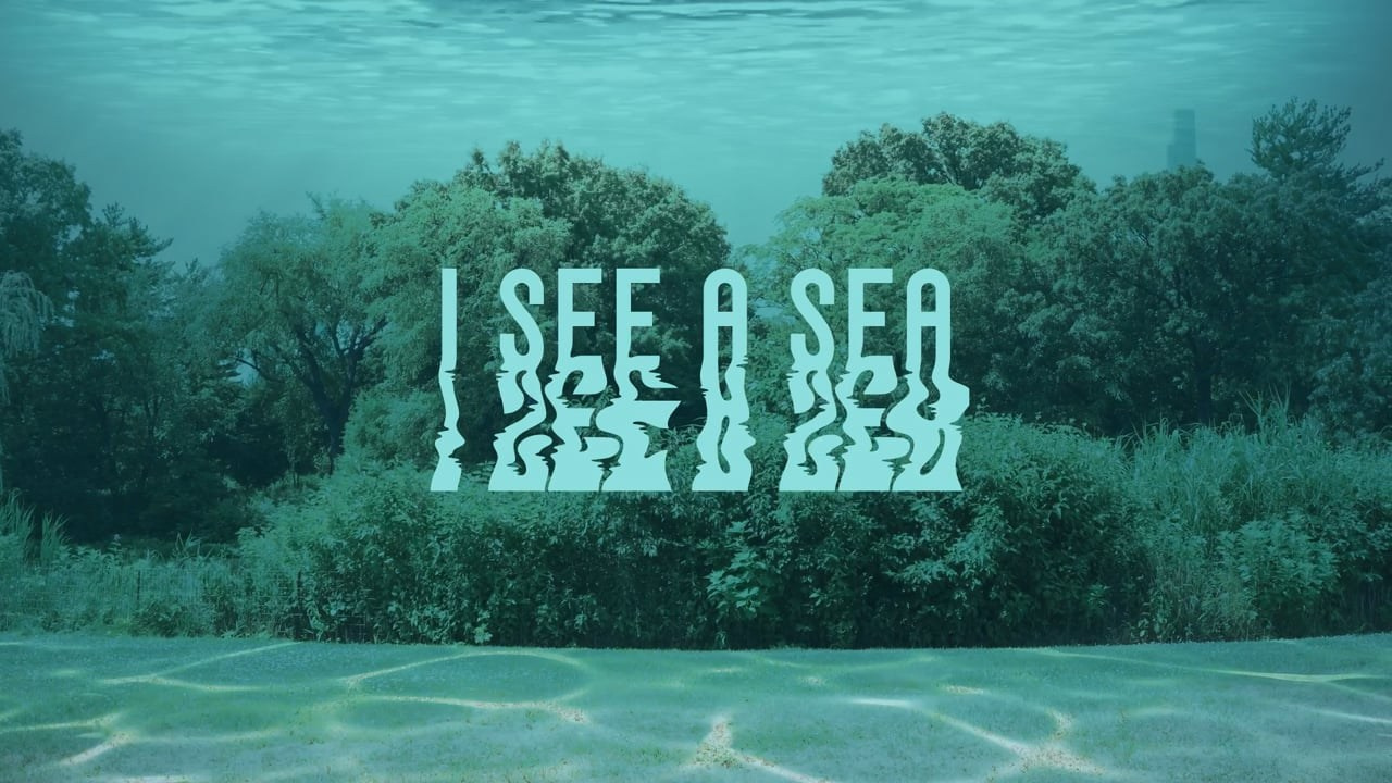 Video art and movie direction. Home