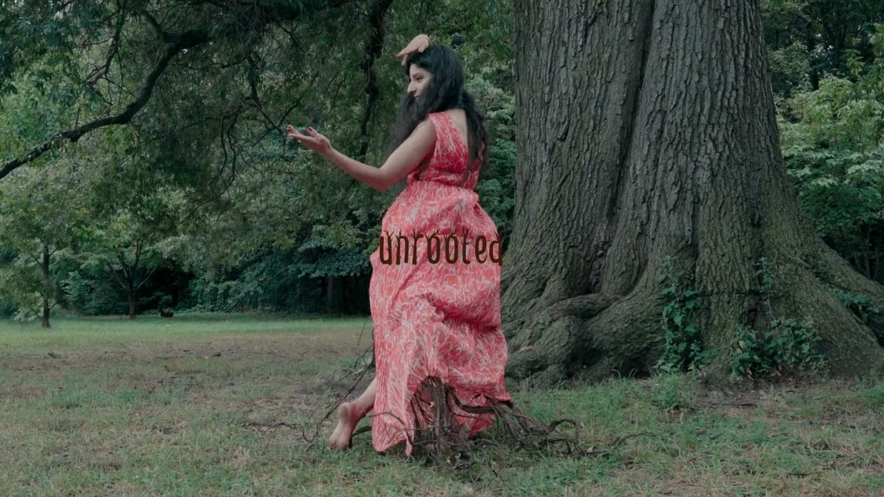 Video art and movie direction. Home