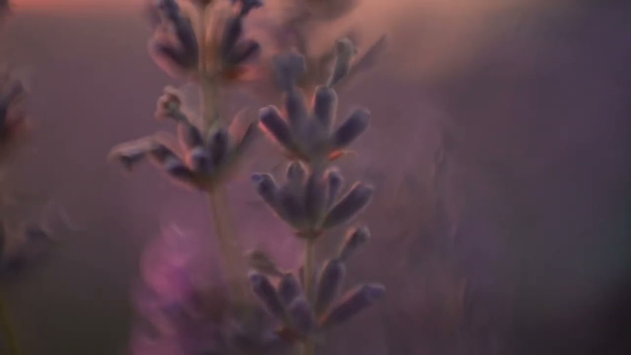 Видеоистории — фотограф Москва / Калуга Орлова Марина. Портретный фотограф и видеограф Москва / Калуга — Марина Орлова