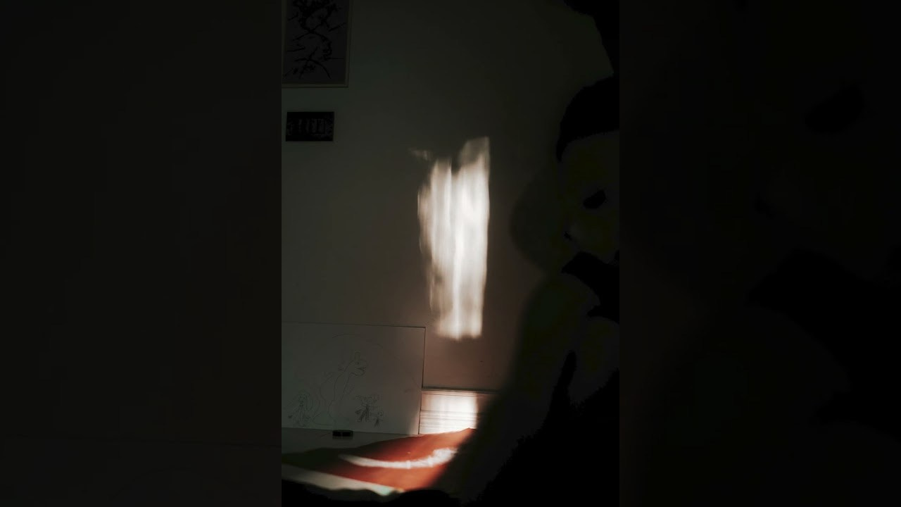 Videos. Authentic Family Photography in Cologne