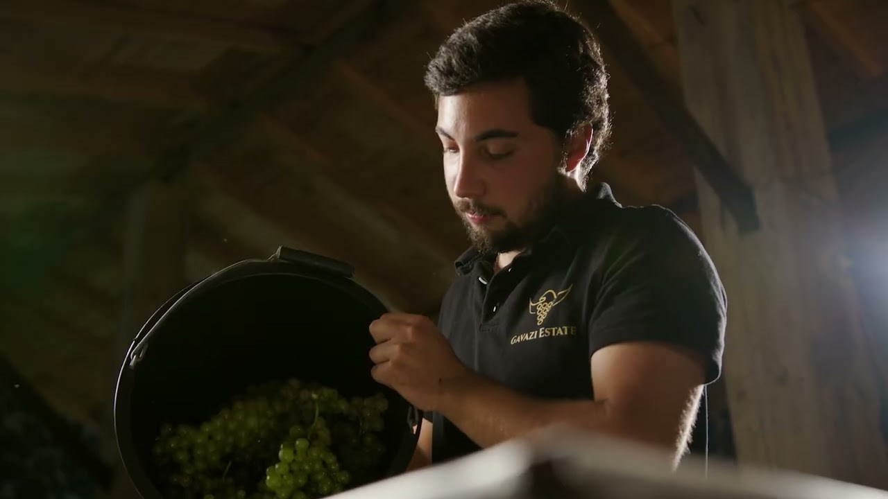 სარეკლამო ვიდეო რგოლები. Clapp Studio