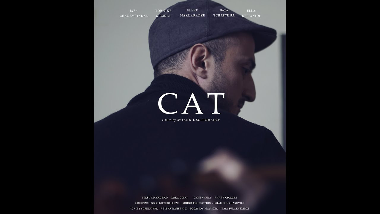 მოკლემეტრაჟიანი ფილმები. Clapp Studio