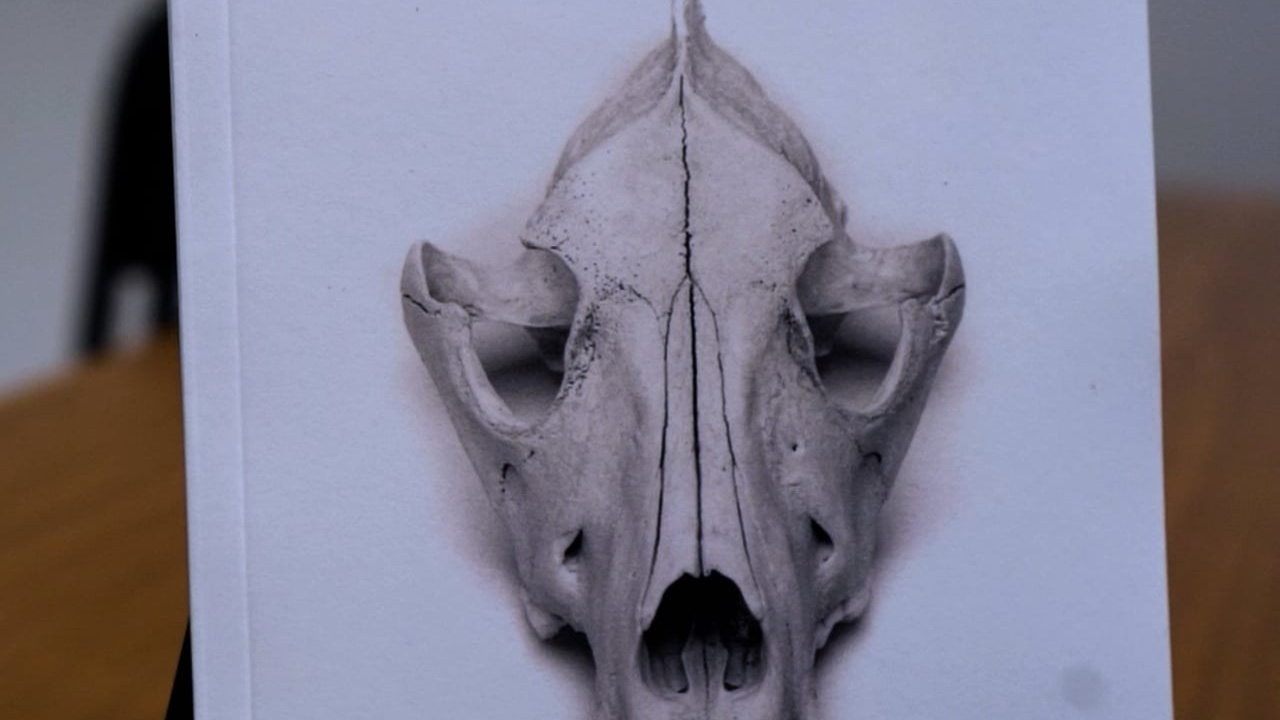 Comercial. Videógrafo en Hermosillo| Luis Rivera Films & Stories