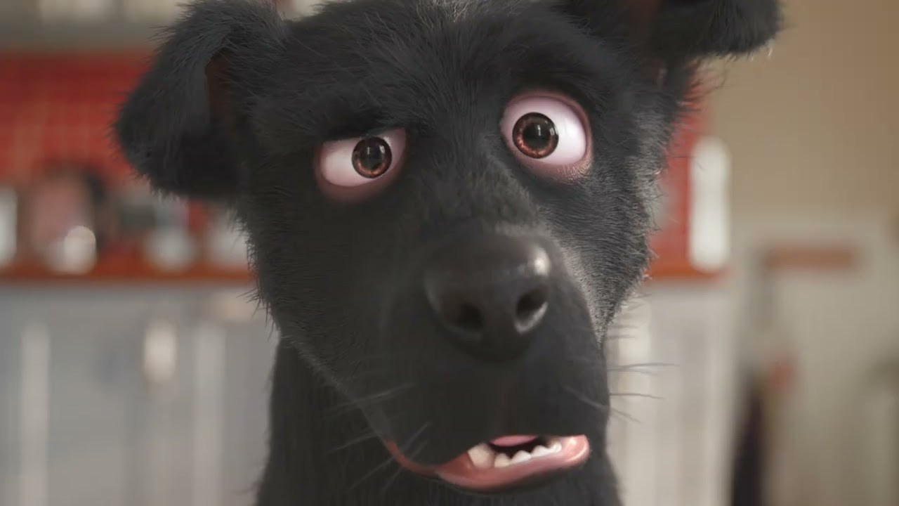 🐾 DOGGY DOG Goes Wild — 60 Million Views and Counting!. Charley Stadler