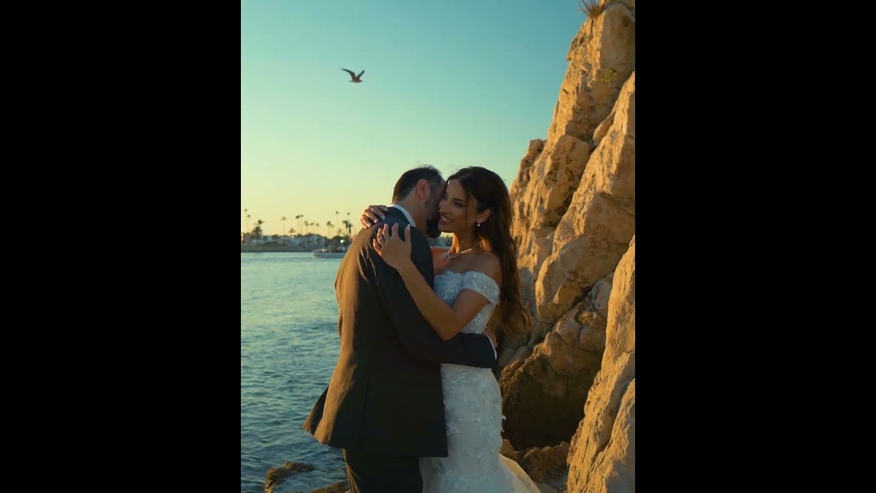 Weddings. Leematix