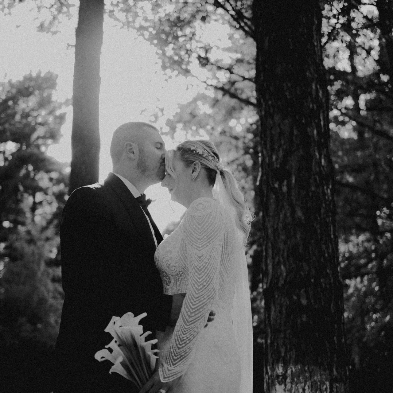 Recenezii. Foto / Video nunta Deva, Hunedoara