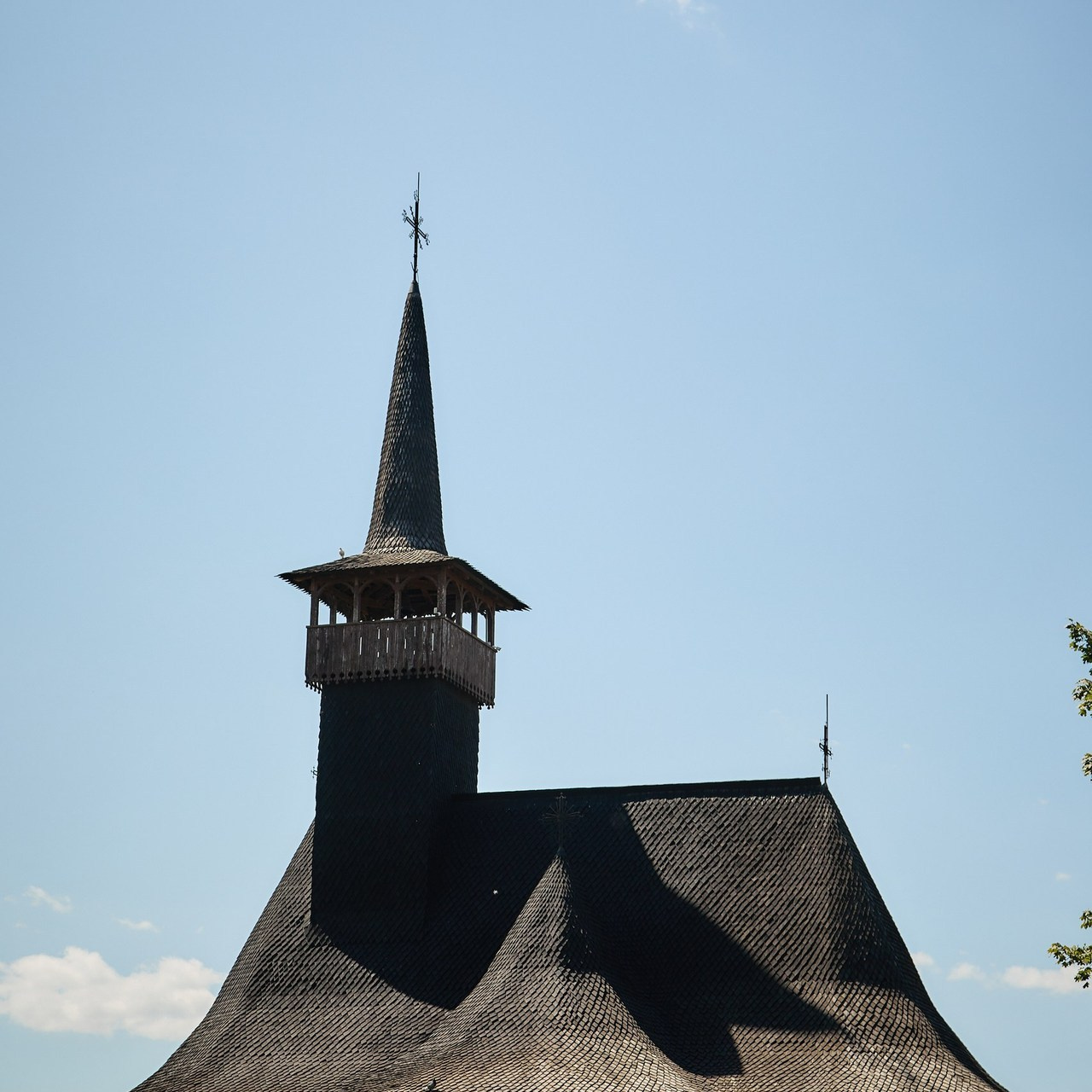 Opinii. Fotograf de Nuntă | Familie | Portret - Iulian Doroganici