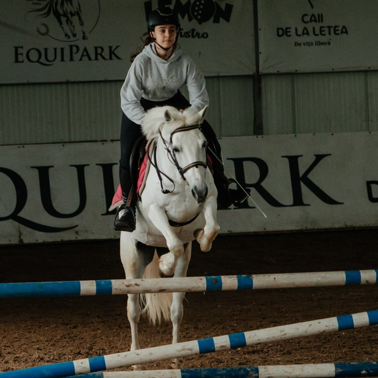 Testimonials. Pantelimon Fotograf