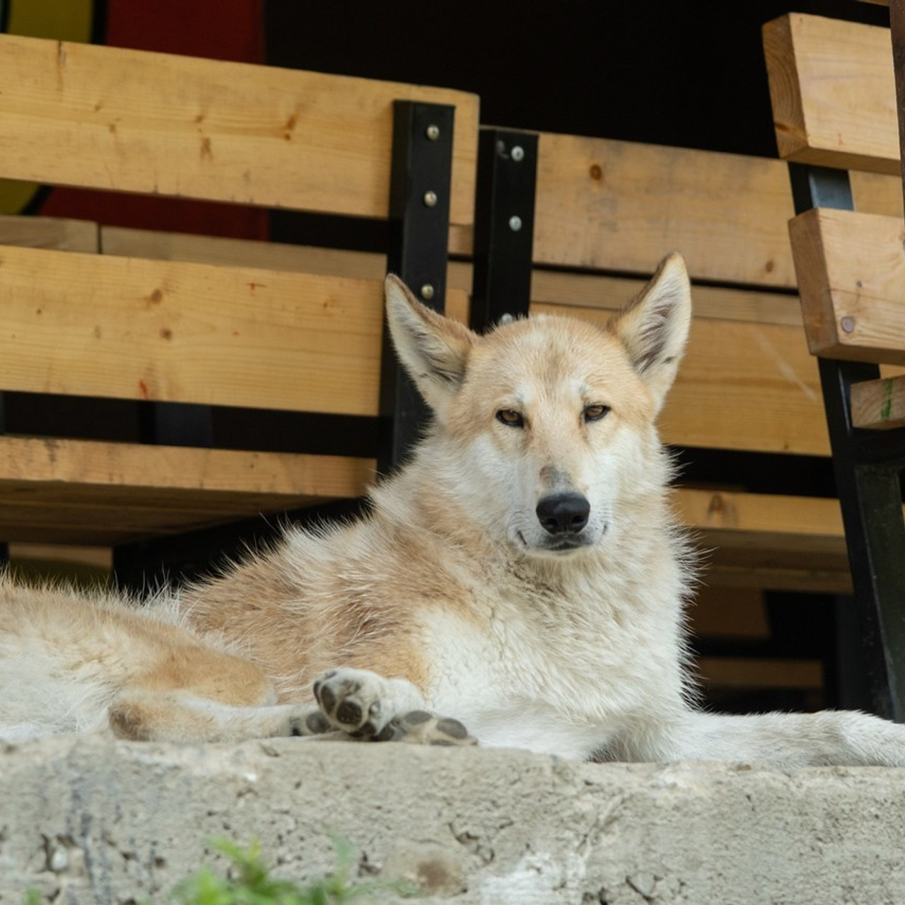 Reviews. Photography of Fujicolor.104