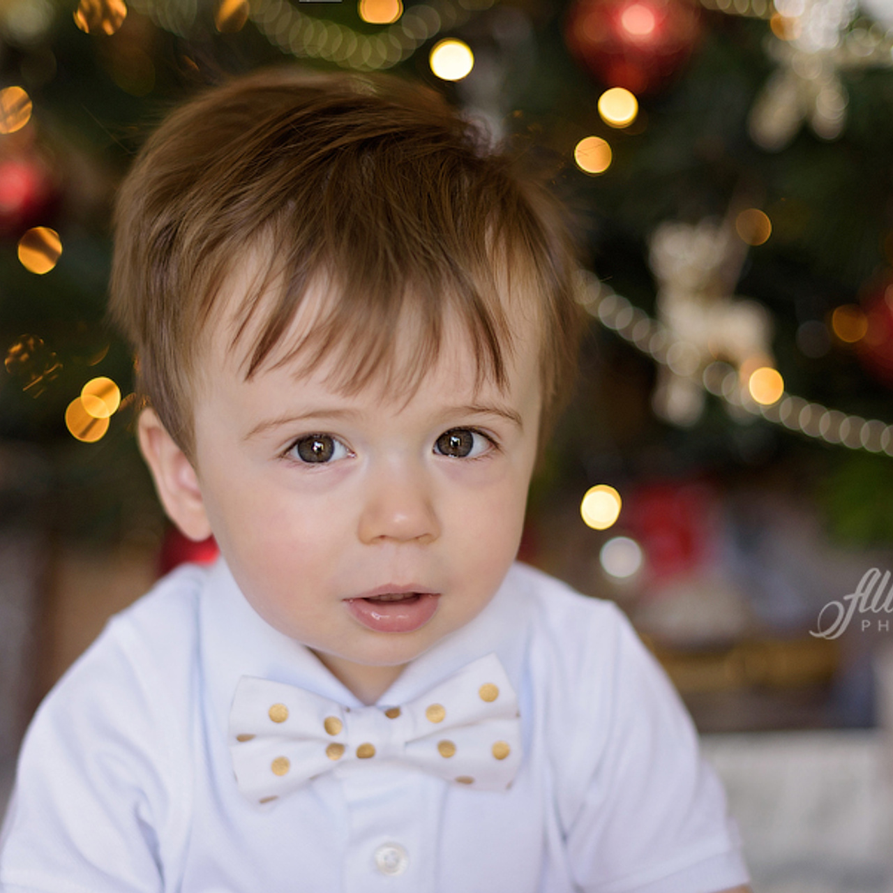 Feedback on your photo session. Newborn and family photographer. Hills District. Sydney