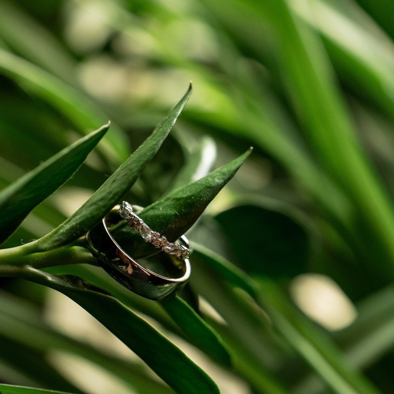 TESTIMONIALS. Wedding and family photographer and videographer PA, NJ, NY, DE, MD