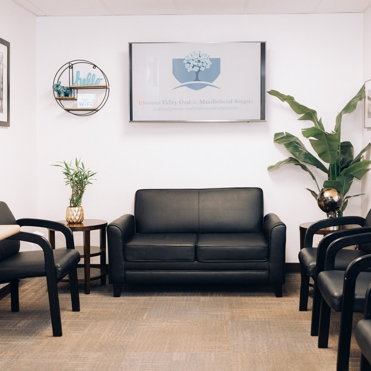 REVIEWS. Family and Event photographer in Bay Area Elena Tiuriumina