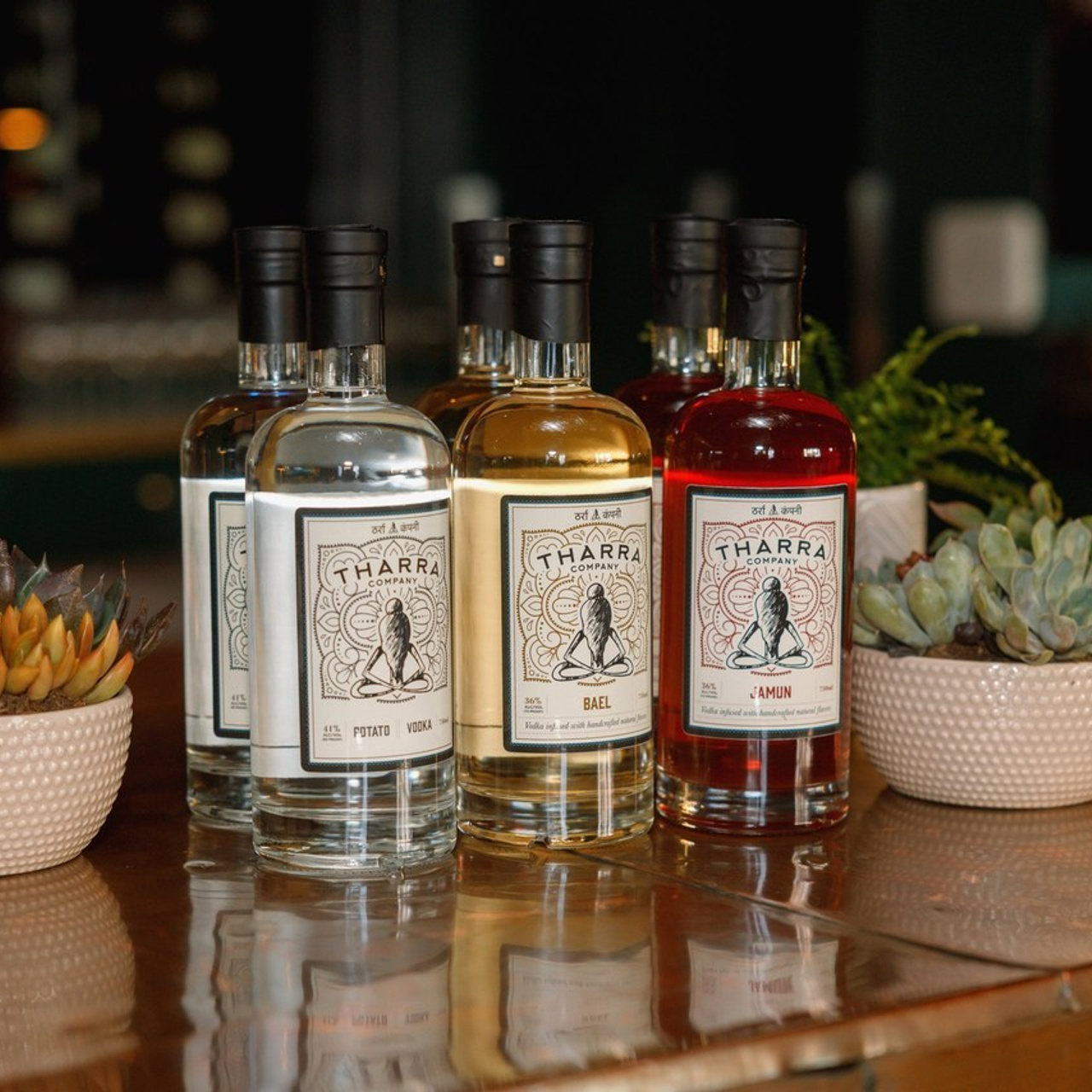 REVIEWS. Family and Event photographer in Bay Area Elena Tiuriumina