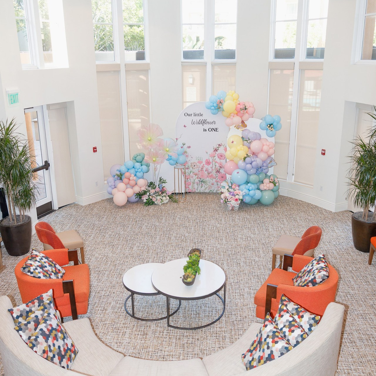 REVIEWS. Family and Event photographer in Bay Area Elena Tiuriumina