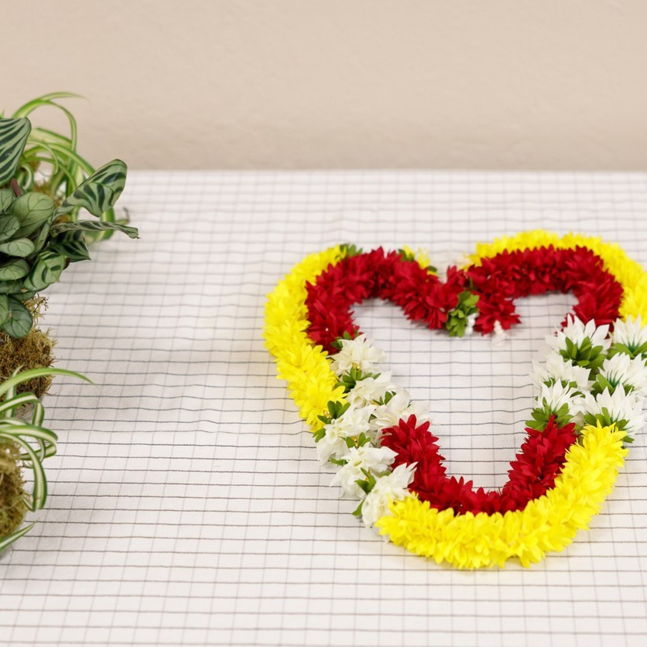 REVIEWS. Family and Event photographer in Bay Area Elena Tiuriumina