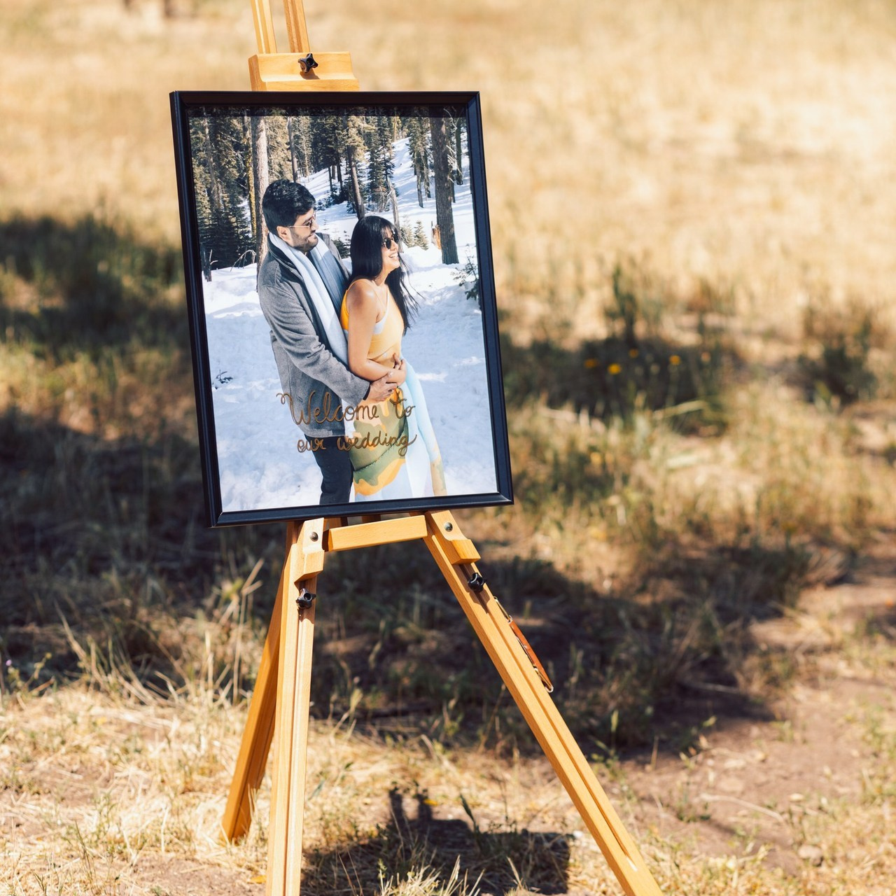 REVIEWS. Family and Event photographer in Bay Area Elena Tiuriumina