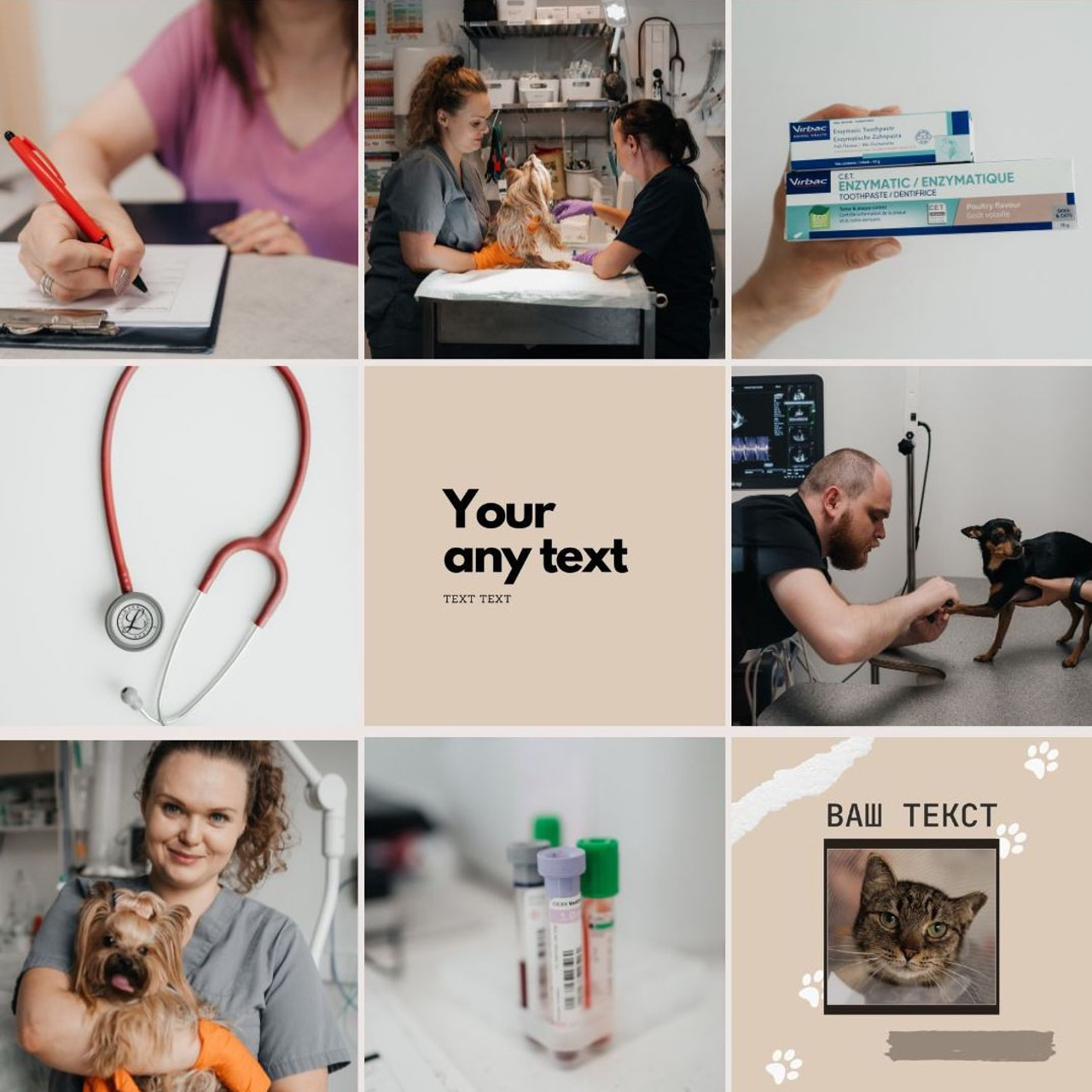 Veterinaarkliinik Esteevet