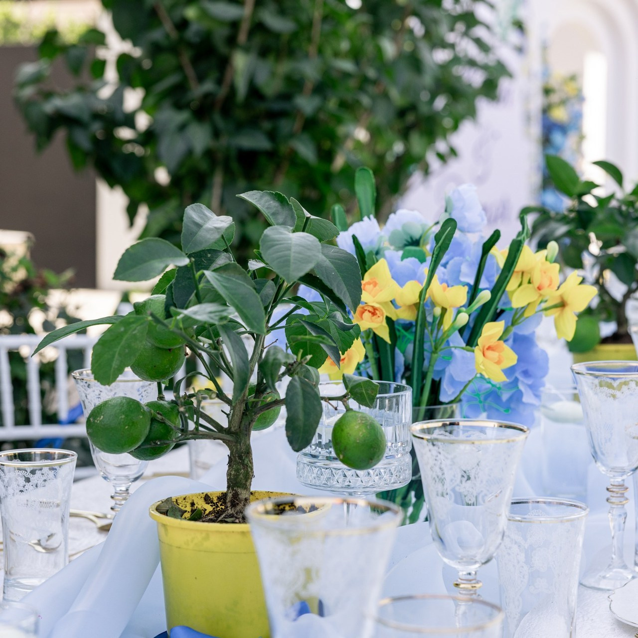 Müştəri məmnuniyyəti. AysuHasani