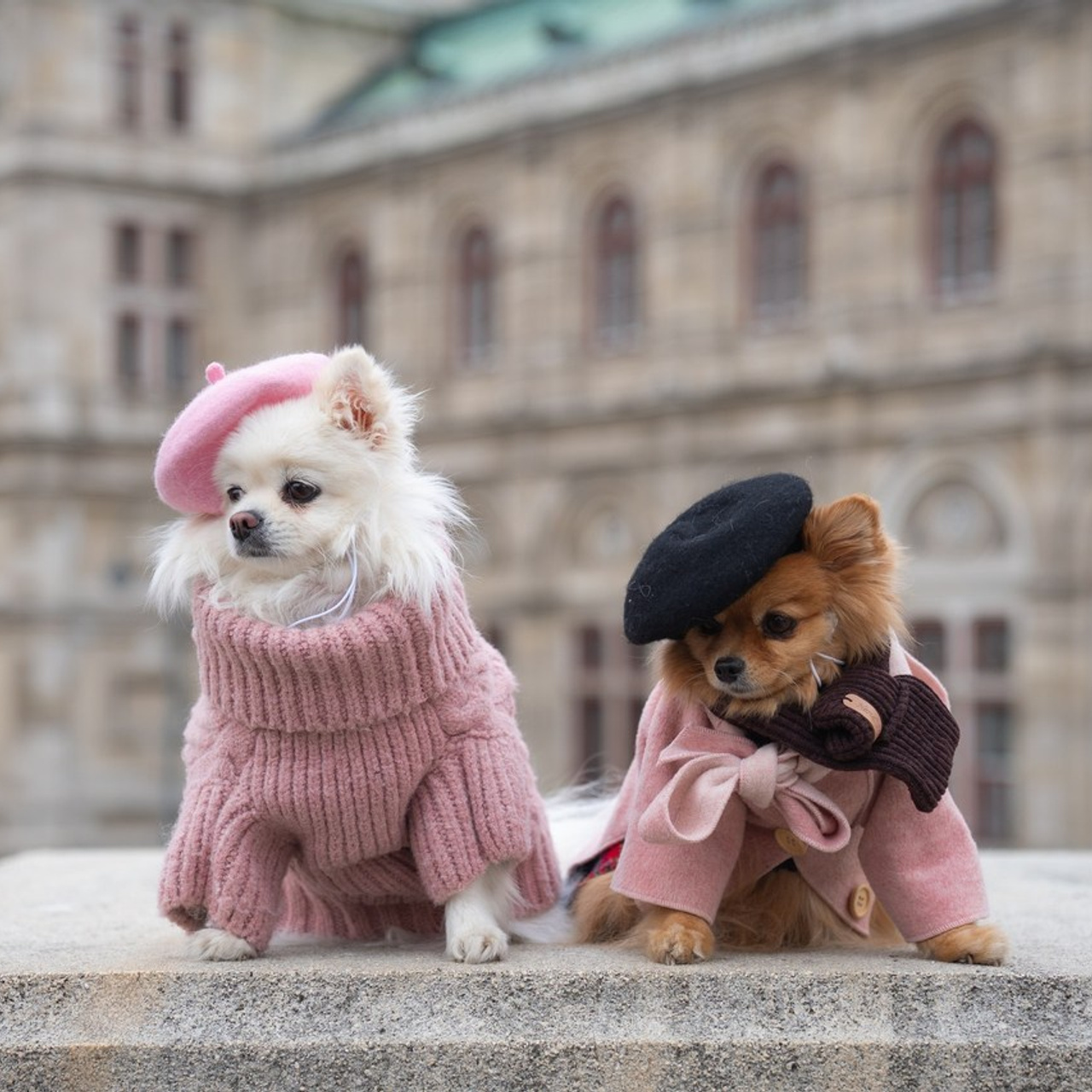 Reviews. Photo Vienna and Bratislava