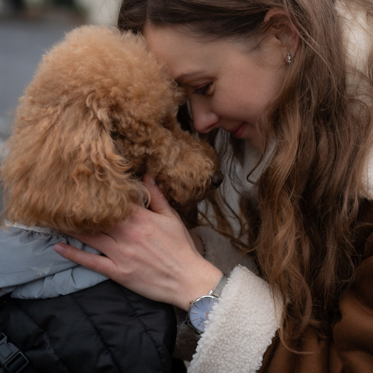 Reviews. Photo Vienna and Bratislava