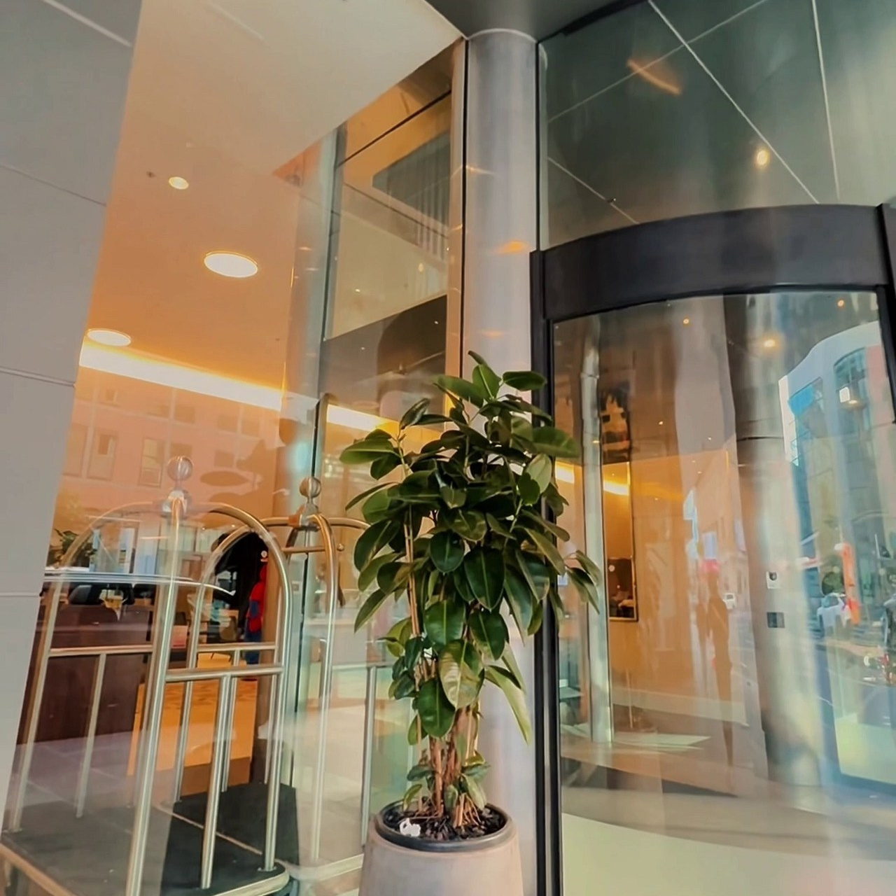 Testimonials. Ankushpatelphotography.AU