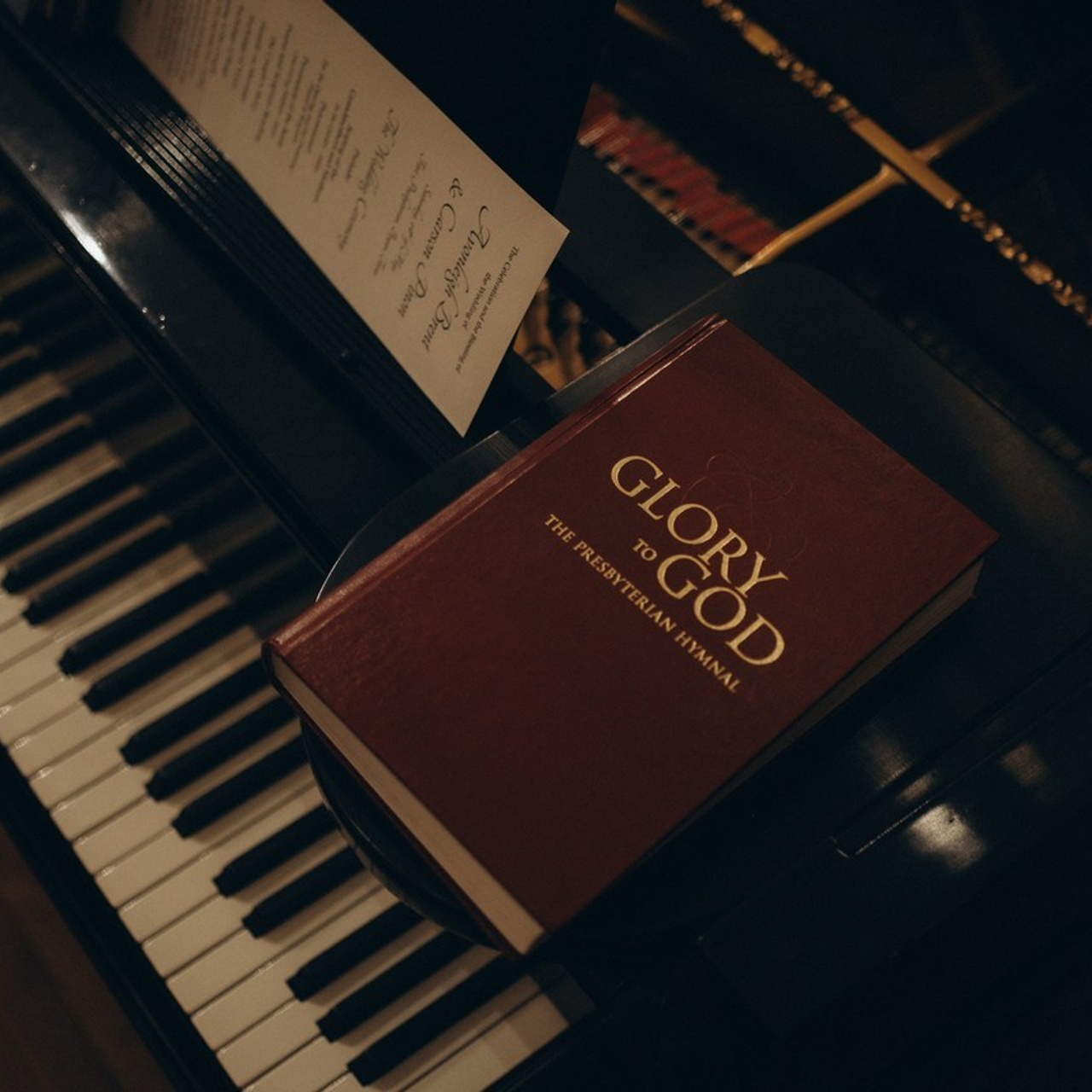 Testimonials. Lens Captures Life