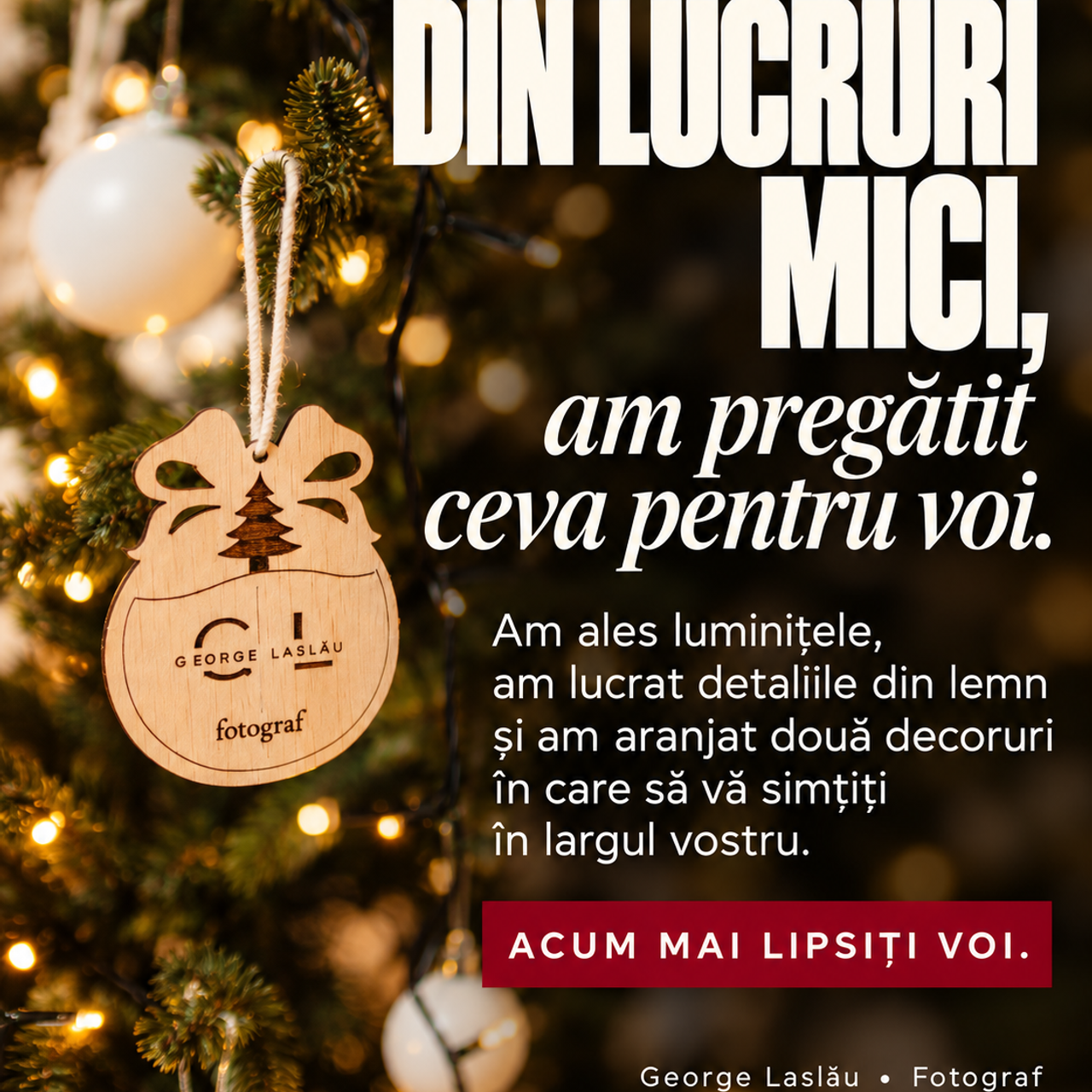 Ședință foto de Crăciun — Memories