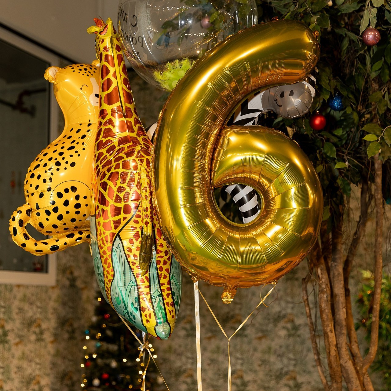 Reviews. Family Photographer in Prague Nigina Fattakh