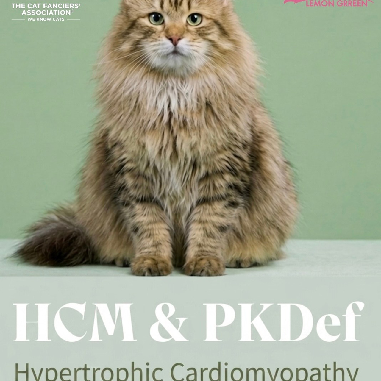 HCM&PKDEF